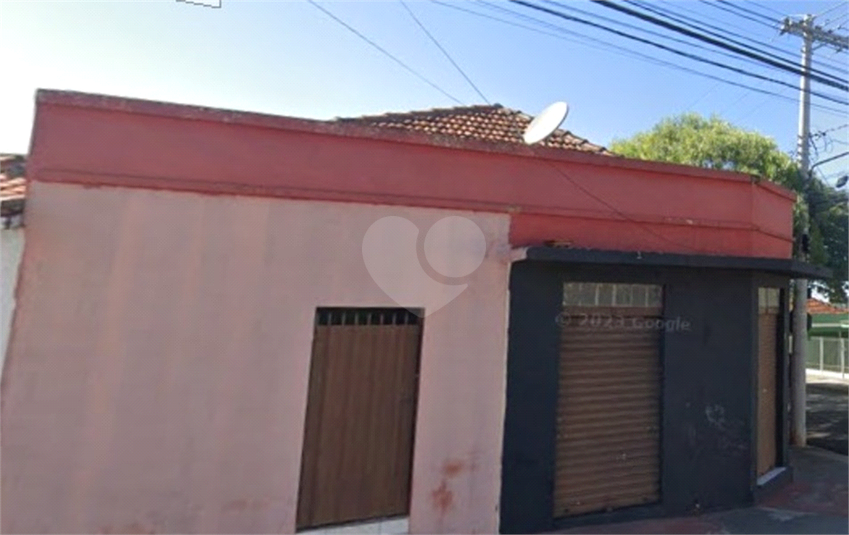 Foto REO1109343