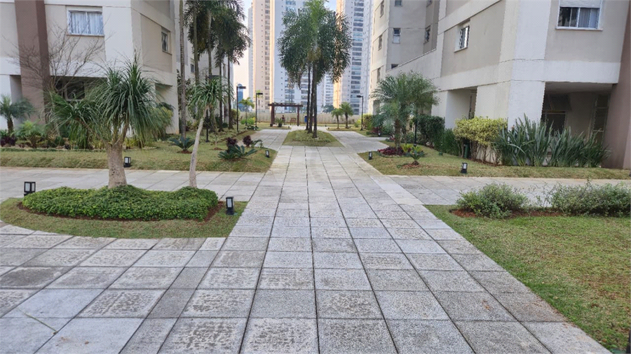 Foto REO1109344