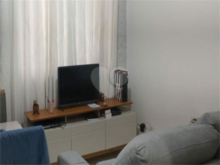 Foto REO1109349