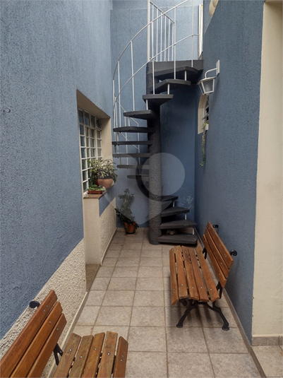 Foto REO1109356