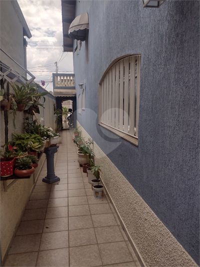 Foto REO1109356