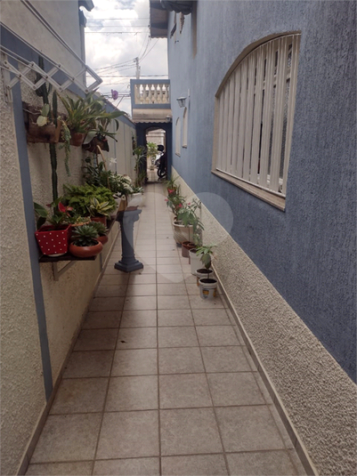 Foto REO1109356