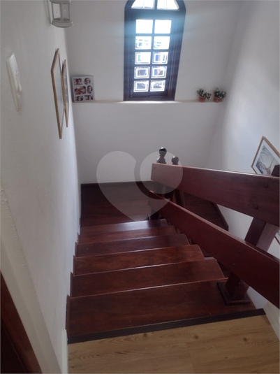 Foto REO1109356