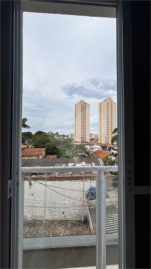 Foto REO1109357
