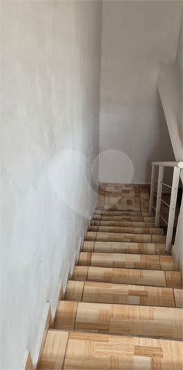 Foto REO1109358