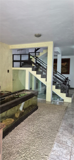 Foto REO1109358