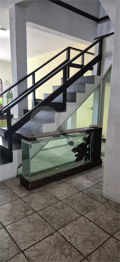Foto REO1109358