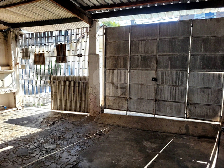 Foto REO1109364