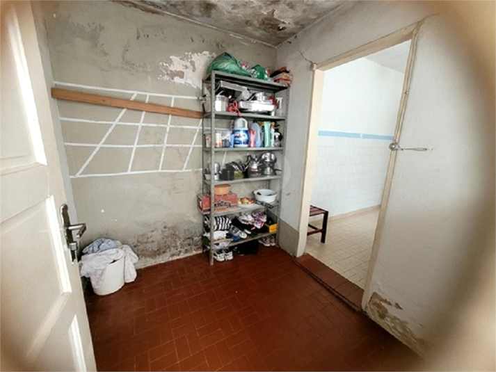 Foto REO1109364
