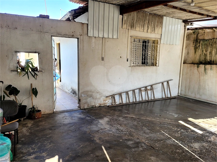 Foto REO1109364