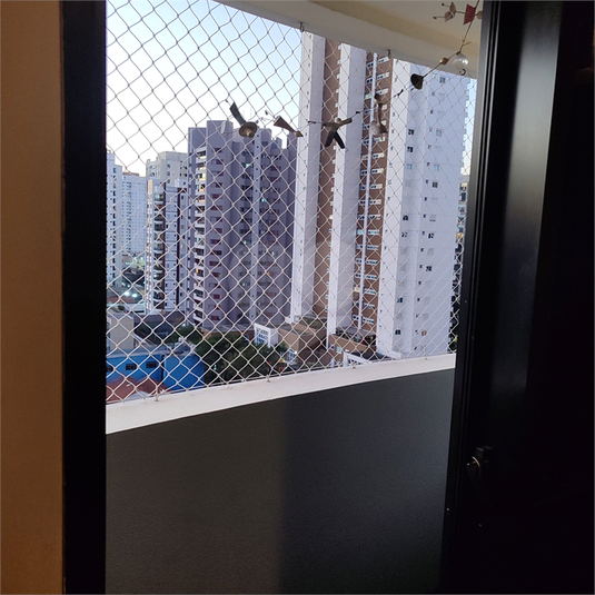 Foto REO1109376