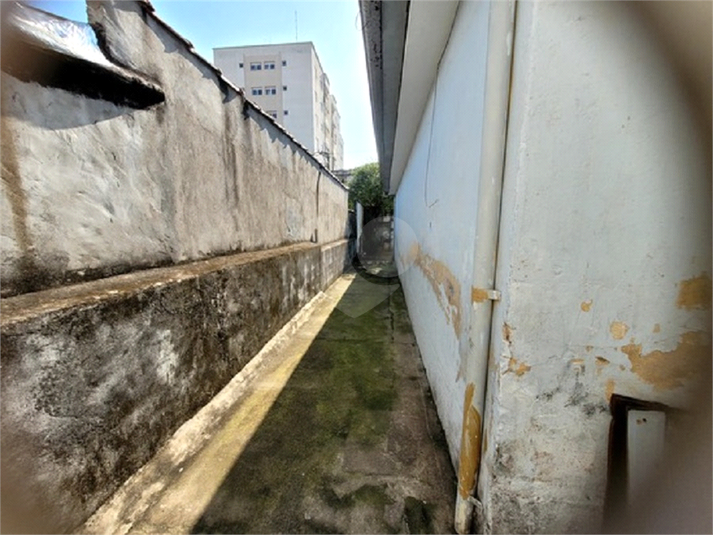 Foto REO1109379