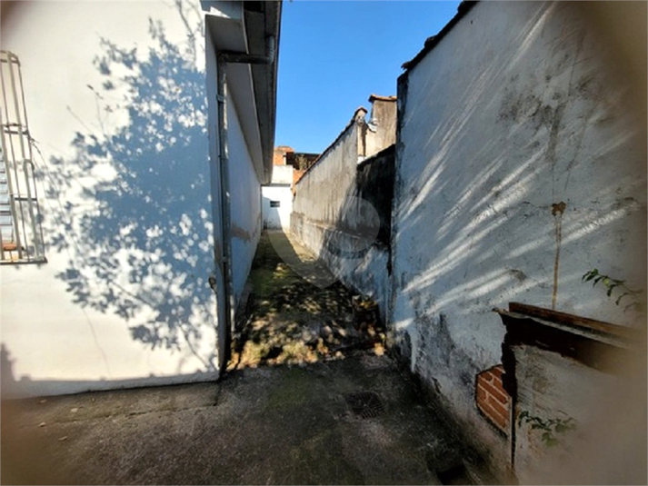 Foto REO1109379