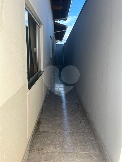 Foto REO1109393