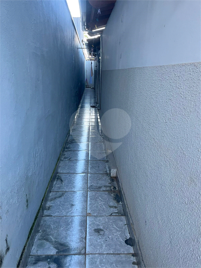 Foto REO1109393