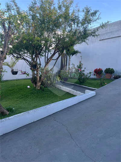 Foto REO1109393