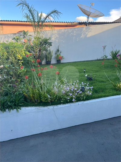 Foto REO1109393