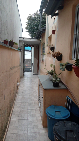 Foto REO1109396