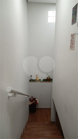 Foto REO1109396