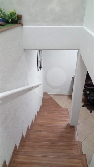 Foto REO1109396