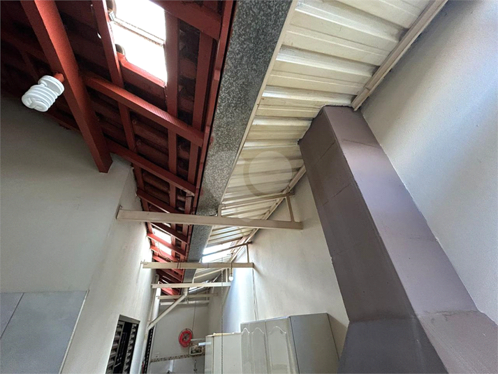 Foto REO1109407