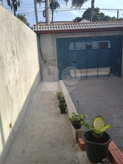 Foto REO1109429