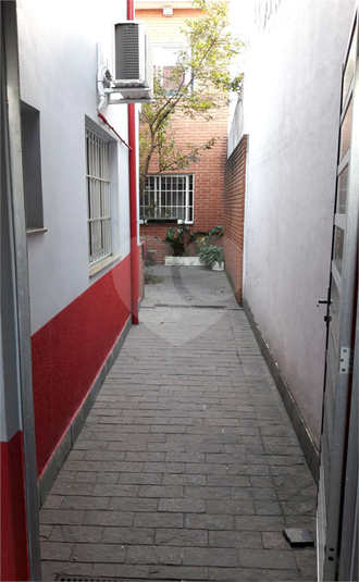 Foto REO1109438