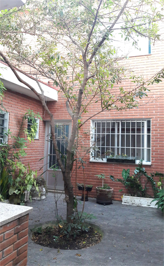Foto REO1109438