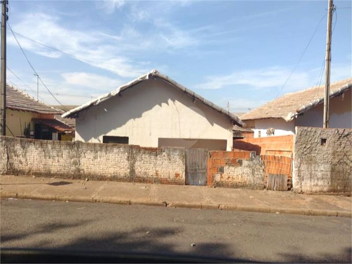 Foto REO1109445