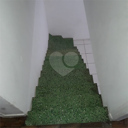 Foto REO110945