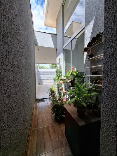 Foto REO1109453