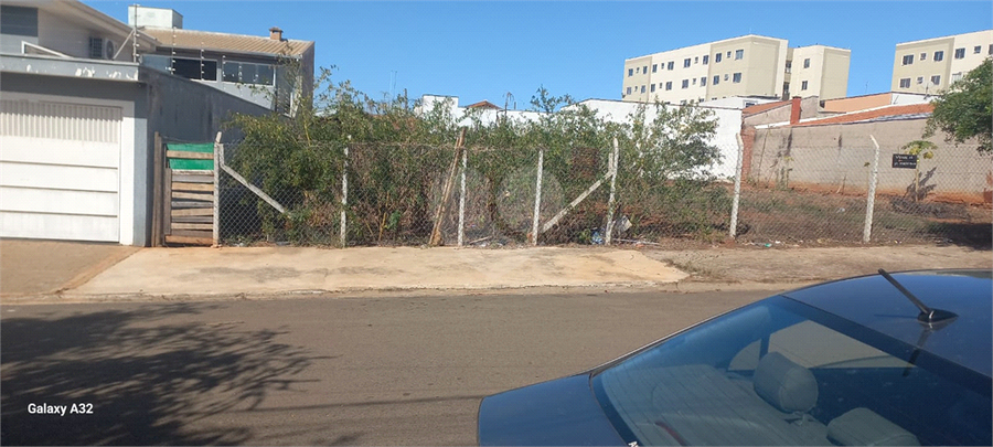 Foto REO1109457
