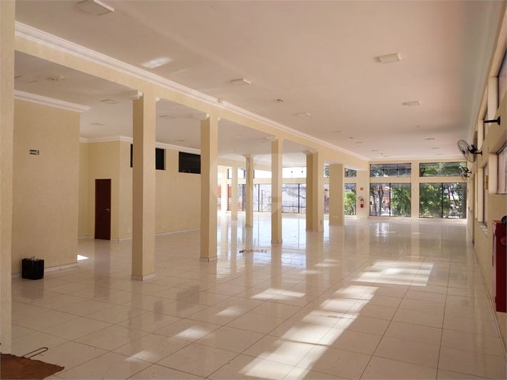 Foto REO1109467