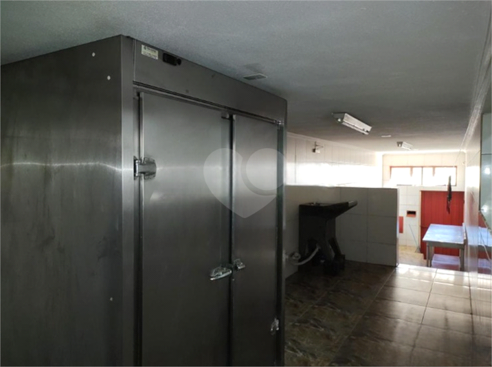 Foto REO1109467