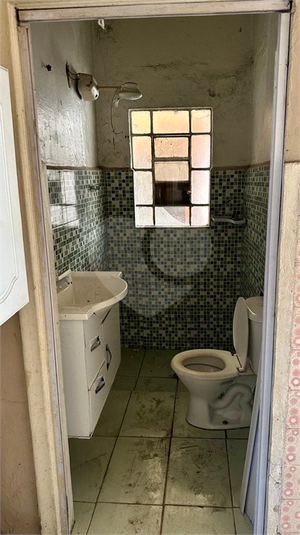 Foto REO1109485