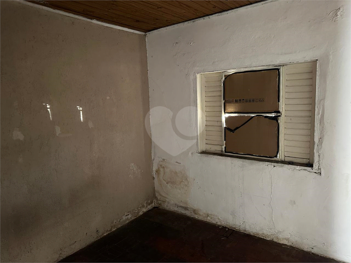 Foto REO1109485