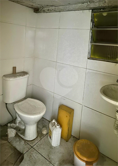 Foto REO1109485