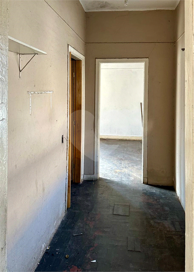 Foto REO1109485