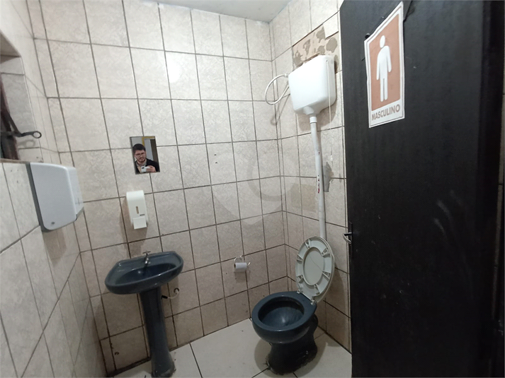 Foto REO1109486