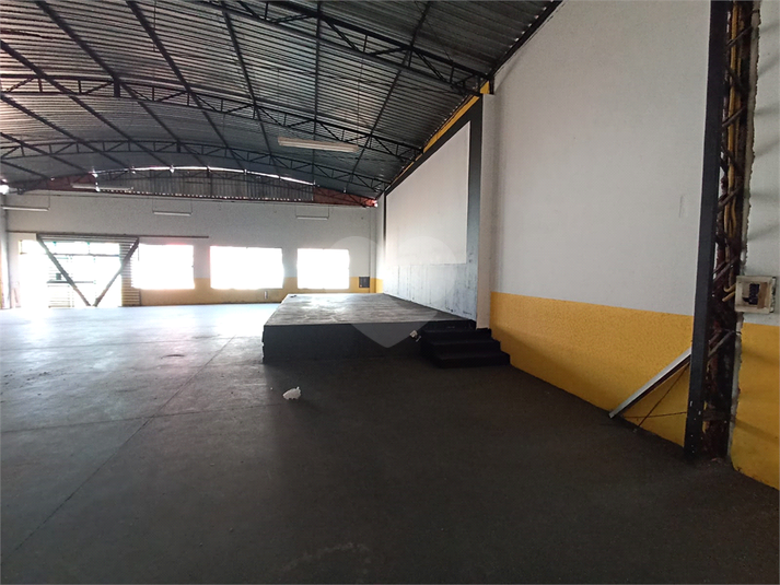 Foto REO1109486