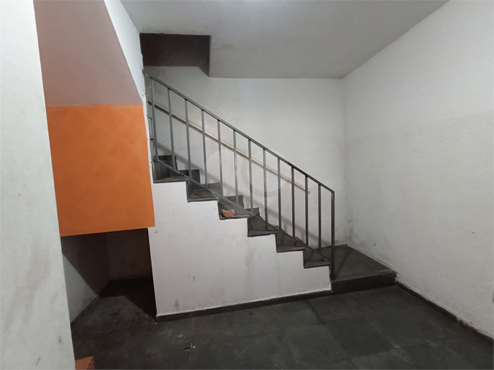 Foto REO1109486