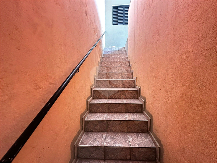 Foto REO1109488