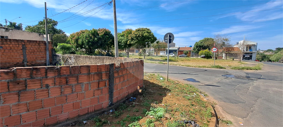 Foto REO1109490