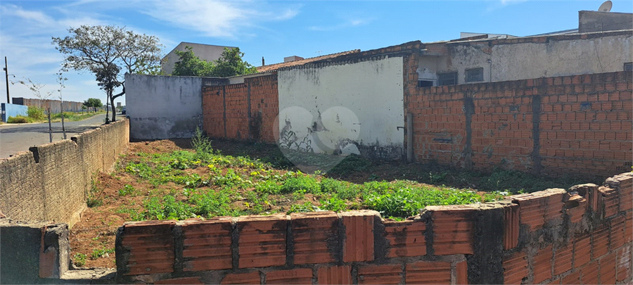 Foto REO1109490