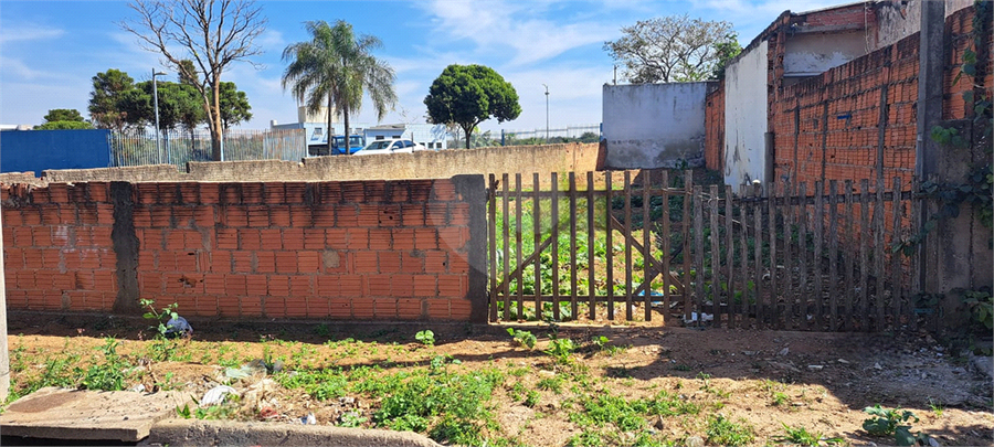 Foto REO1109490