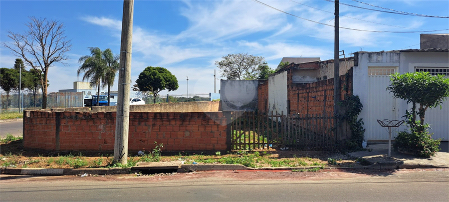 Foto REO1109490