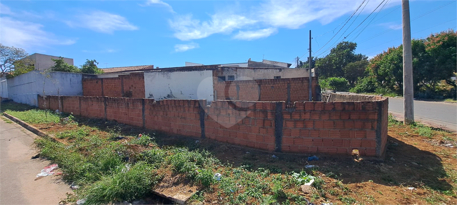 Foto REO1109490