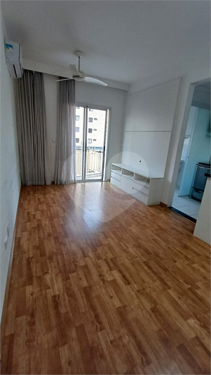 Foto REO1109492