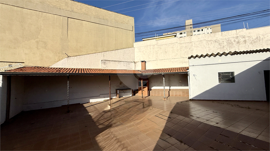 Foto REO1109493