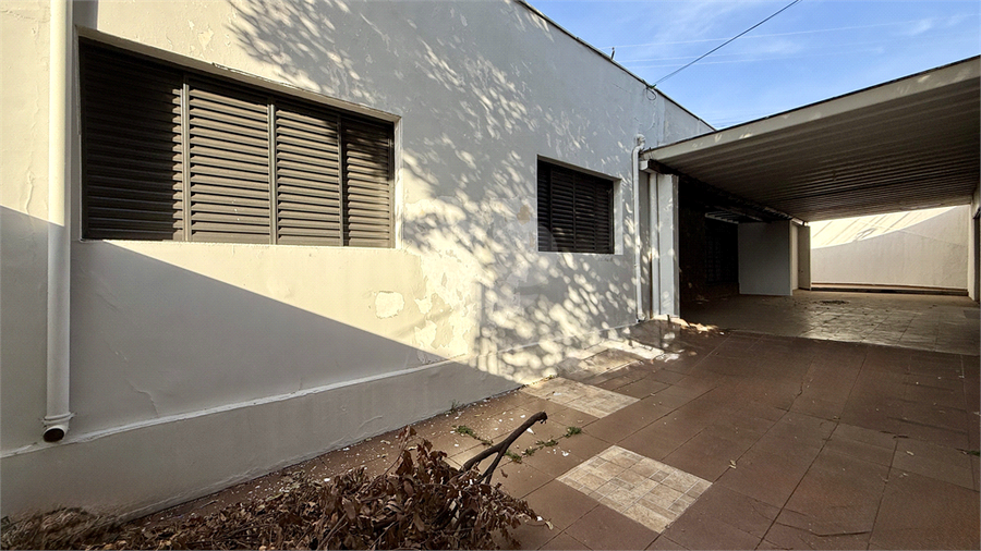 Foto REO1109493